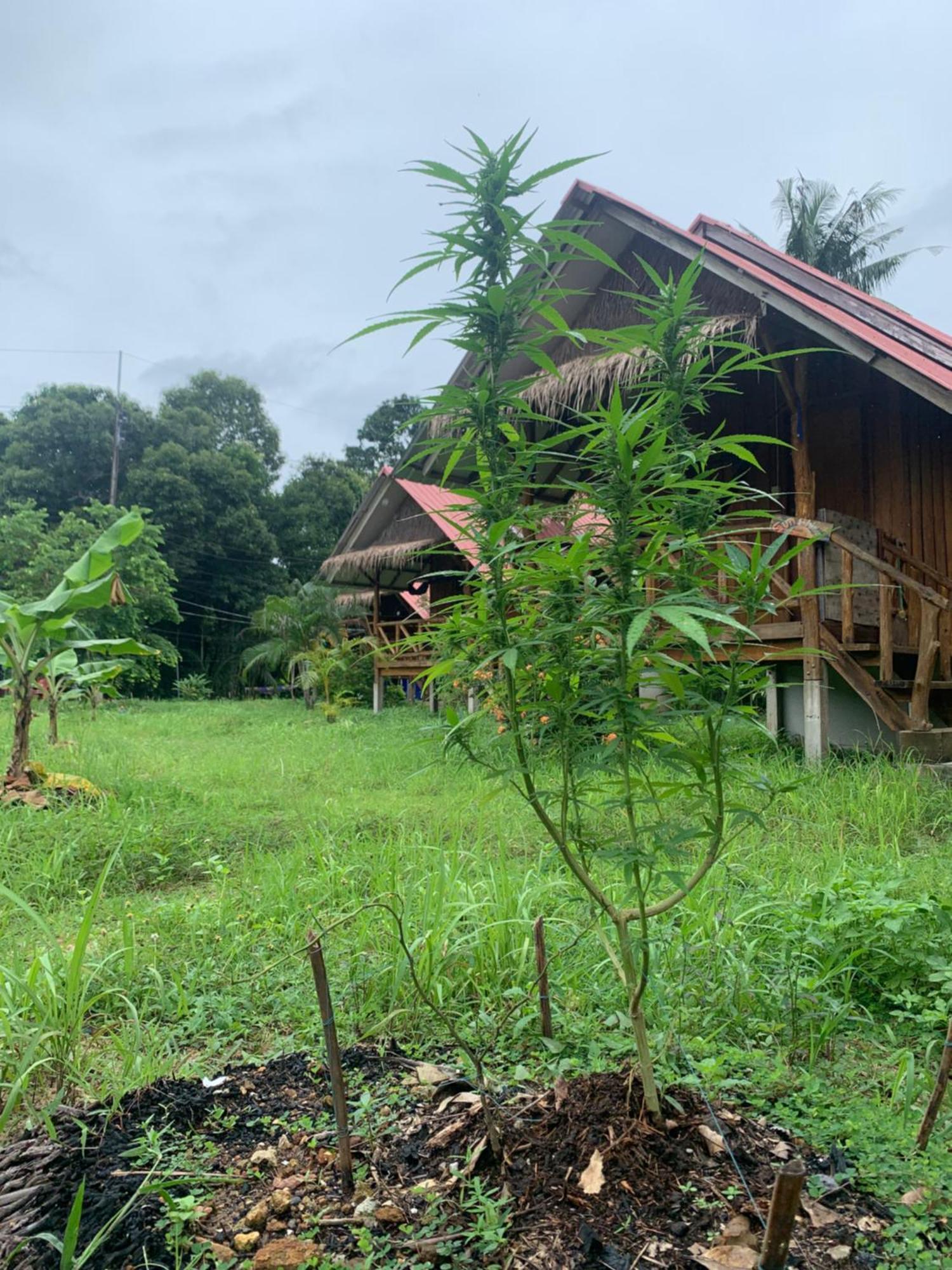 Seree Bungalows & Chill Bar Koh Chang Buitenkant foto